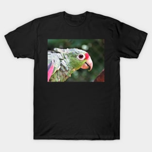 Green Parrot Photography T-Shirt